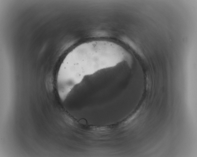 X0000111371213200907311026