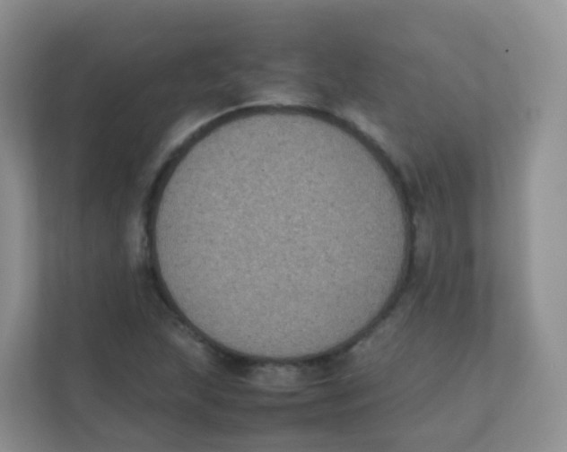 X0000111371215200907311026