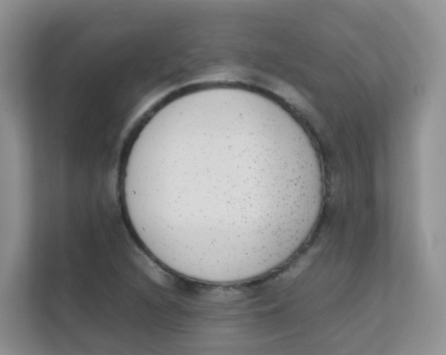 X0000111371216200907311026