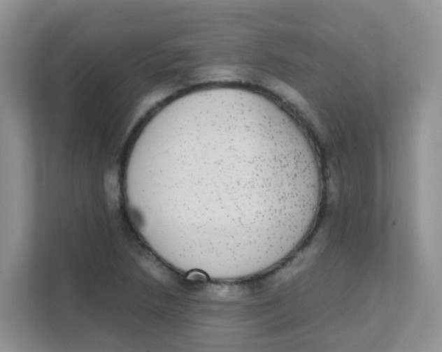 X0000111371218200907311026