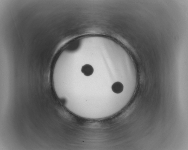 X0000111371222200907311026