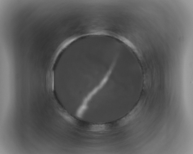 X0000111371223200907311026