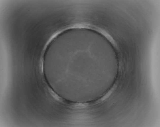 X0000111371224200907311026