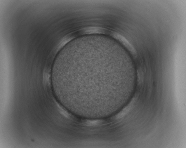 X0000111371225200907311026