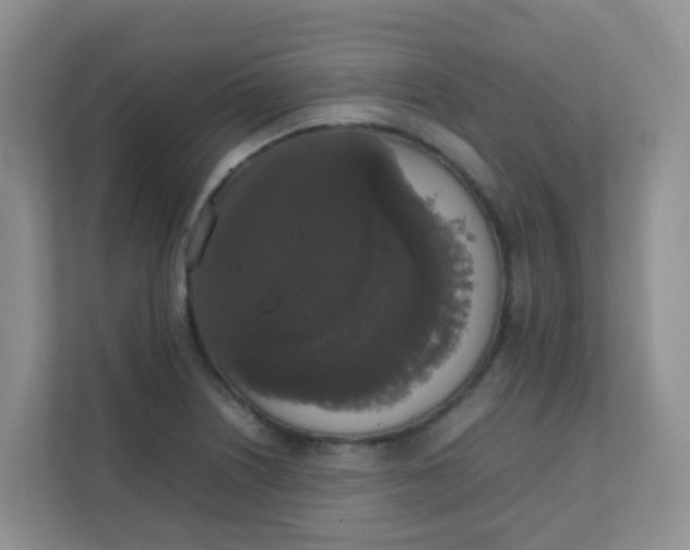 X0000111371226200907311026