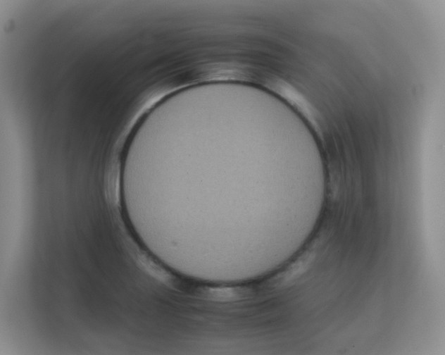 X0000111371227200907311026