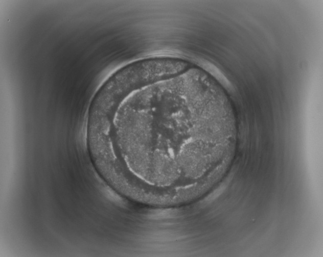 X0000111371228200907311026