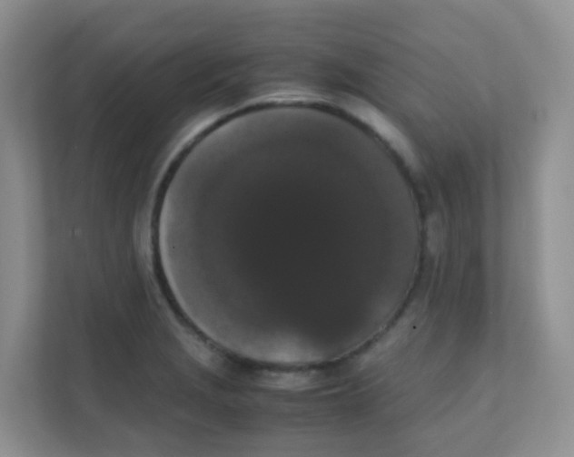 X0000111371229200907311026