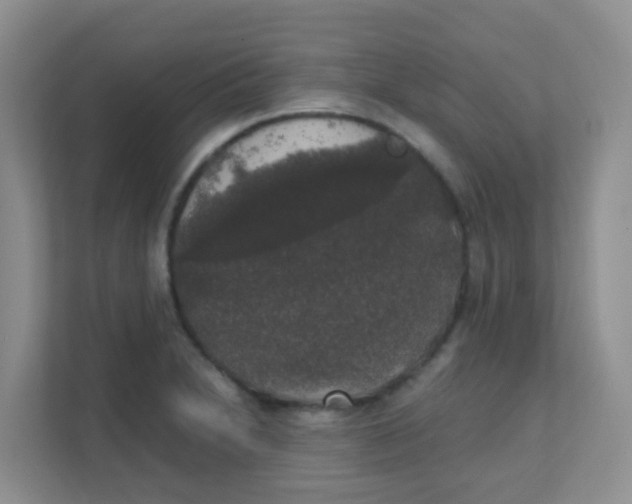 X0000111371230200907311026