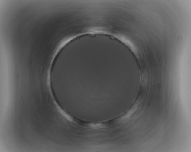 X0000111371231200907311026