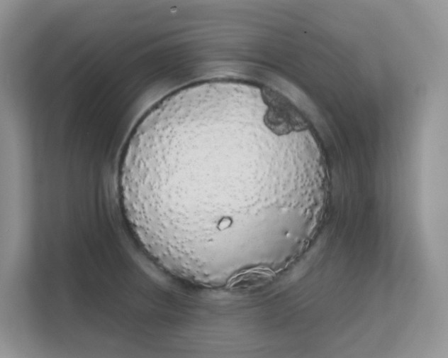 X0000111371234200907311026