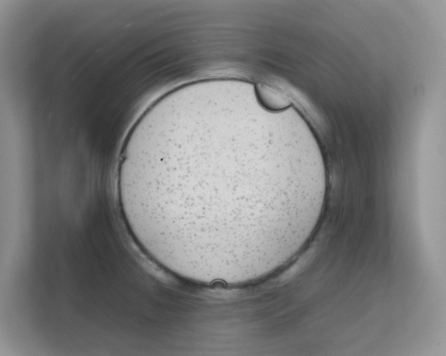 X0000111371236200907311026