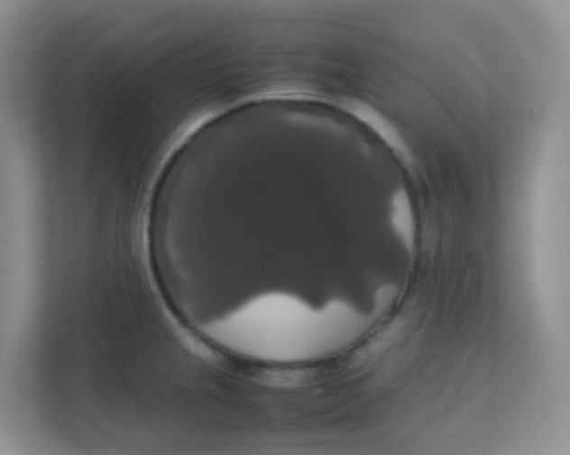 X0000111371237200907311026