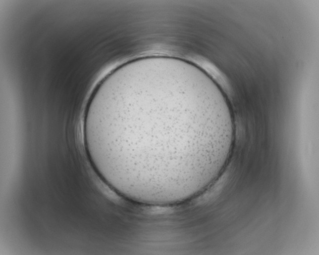 X0000111371238200907311026