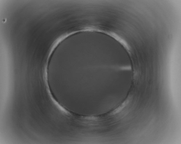 X0000111371239200907311026