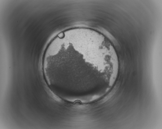 X0000111371240200907311026