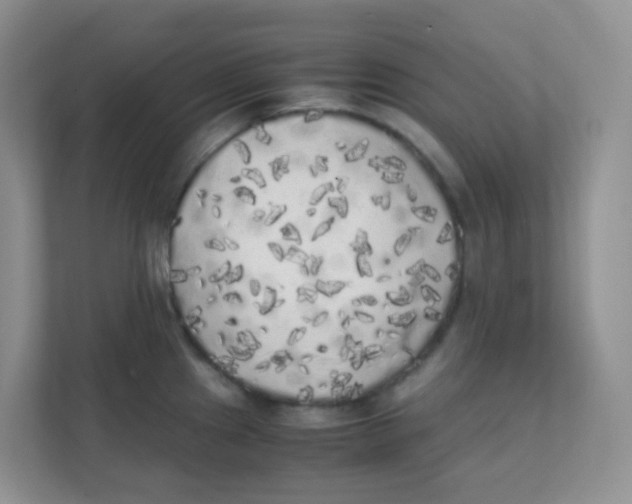 X0000111371241200907311026