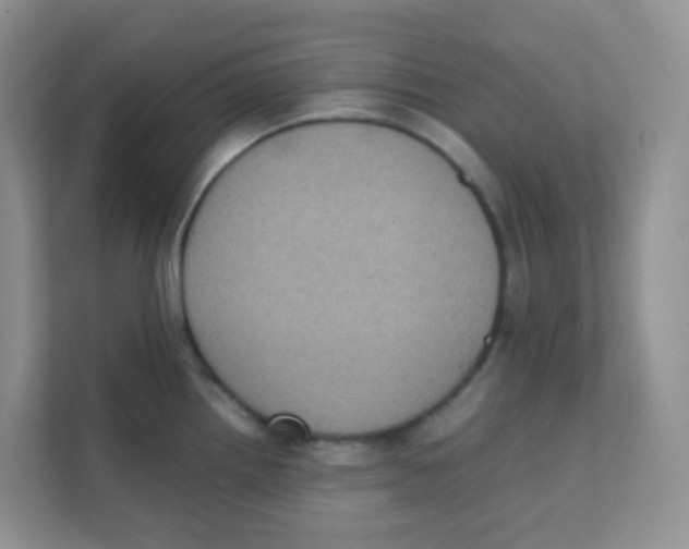 X0000111371242200907311027