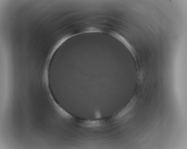 X0000111371243200907311027