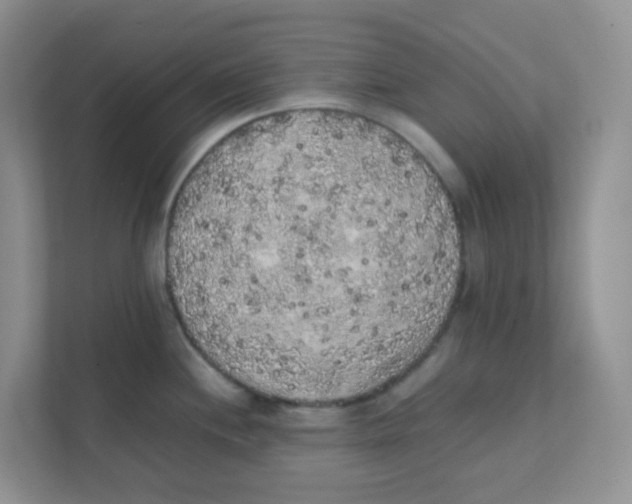 X0000111371244200907311027