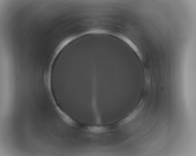 X0000111371245200907311027