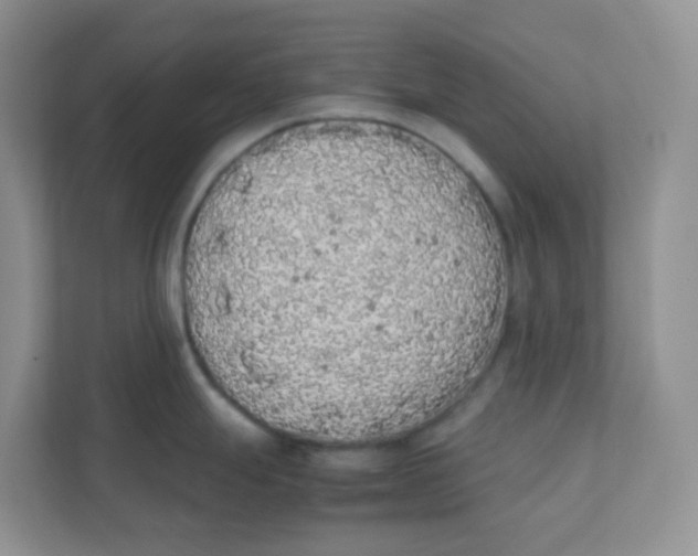 X0000111371247200907311027