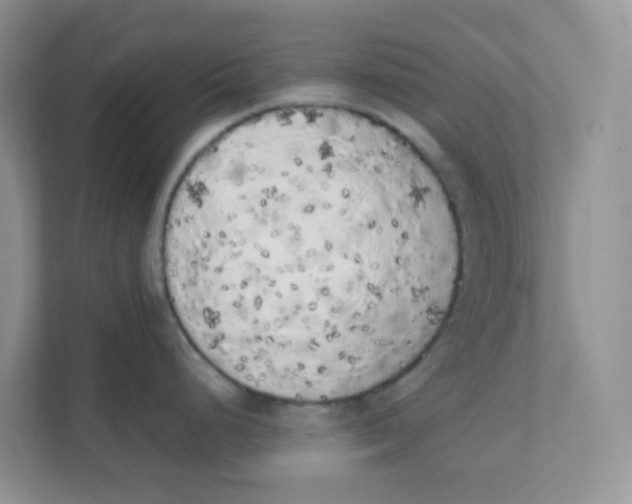 X0000111371248200907311027