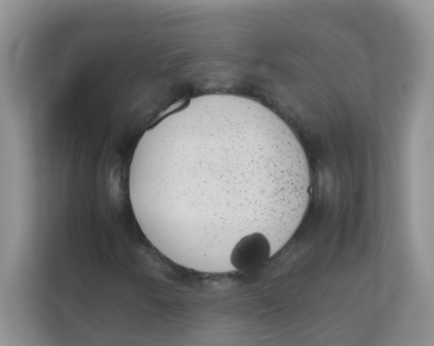 X0000111371250200907311026