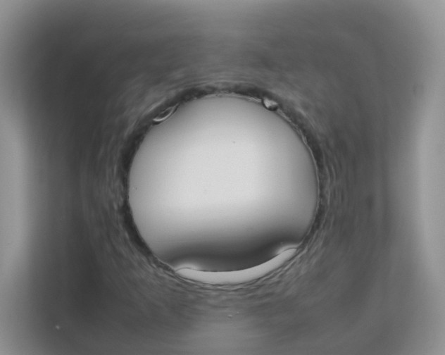 X0000111371253200907311026