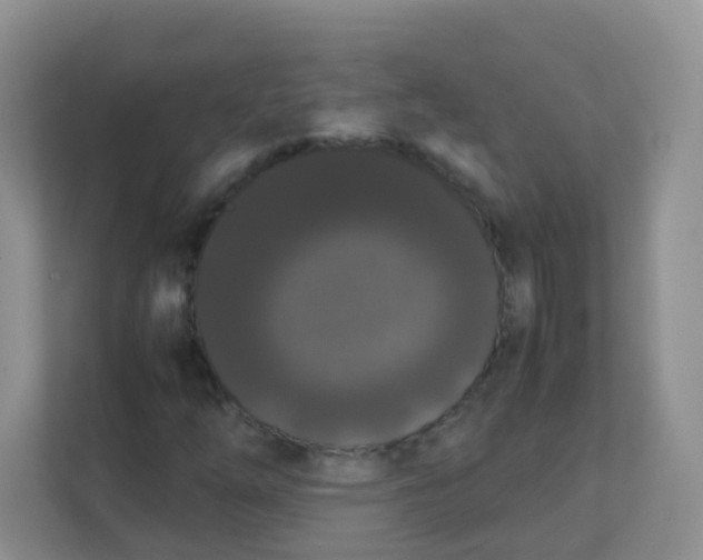 X0000111371254200907311026