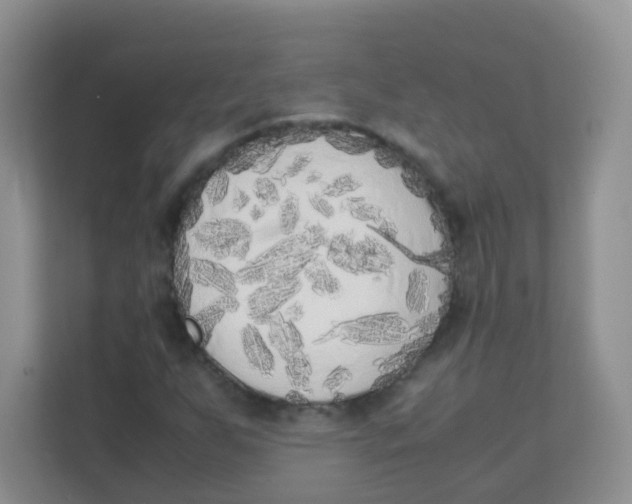 X0000111371255200907311026