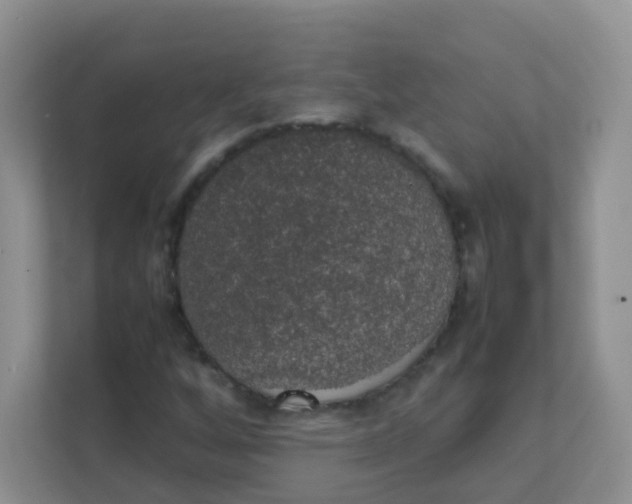 X0000111371256200907311026