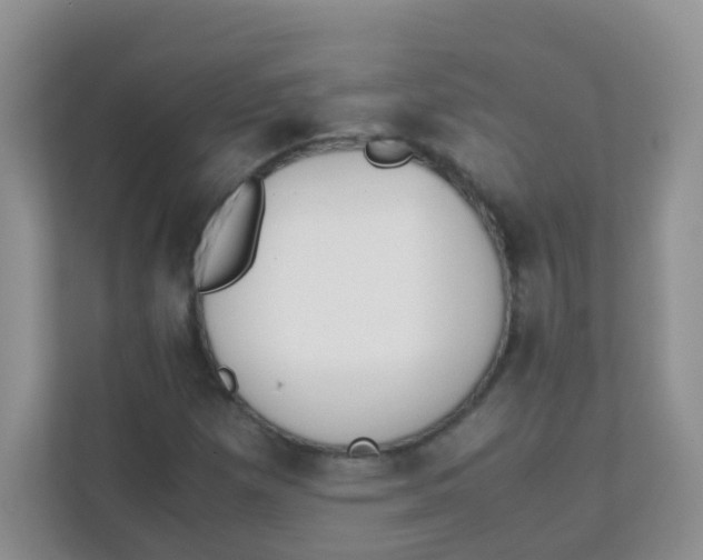 X0000111371257200907311026