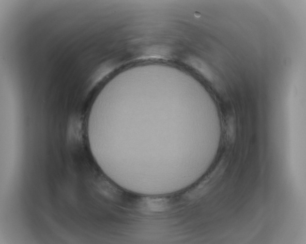 X0000111371258200907311026