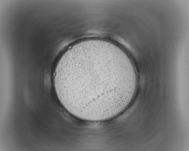 X0000111371259200907311026