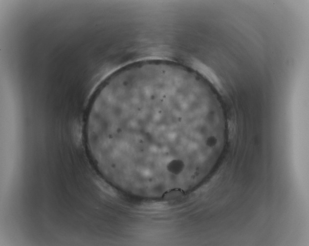 X0000111371260200907311026