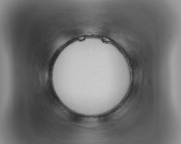 X0000111371261200907311026