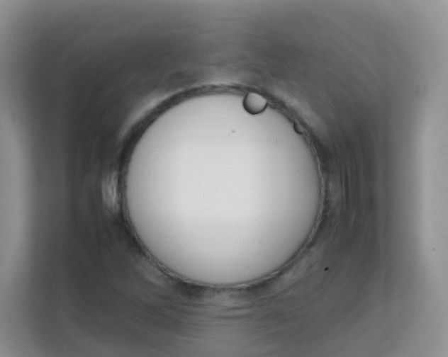 X0000111371262200907311026