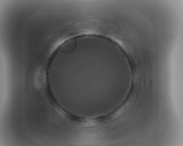 X0000111371263200907311026