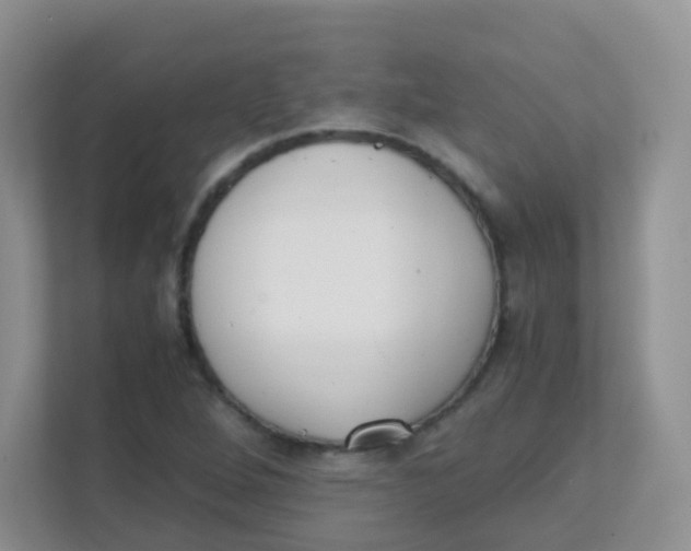 X0000111371264200907311026