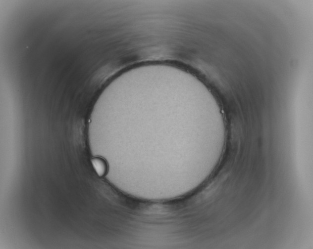 X0000111371265200907311026