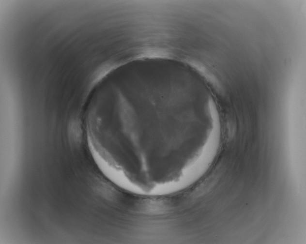 X0000111371266200907311026