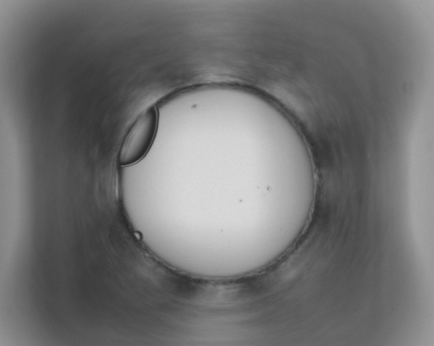 X0000111371269200907311026