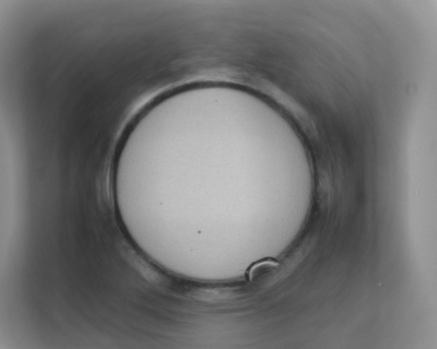 X0000111371272200907311026