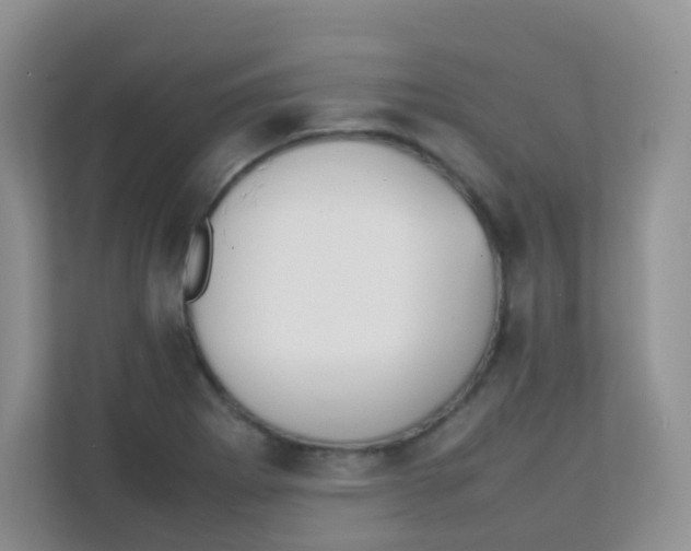 X0000111371273200907311026