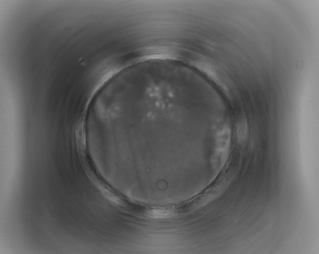 X0000111371274200907311026