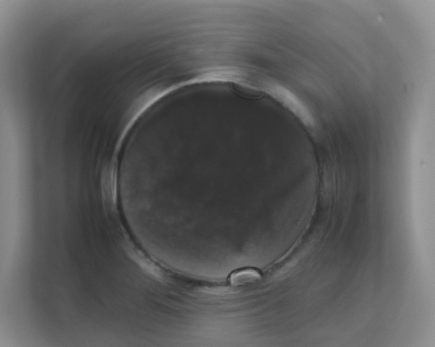 X0000111371276200907311026