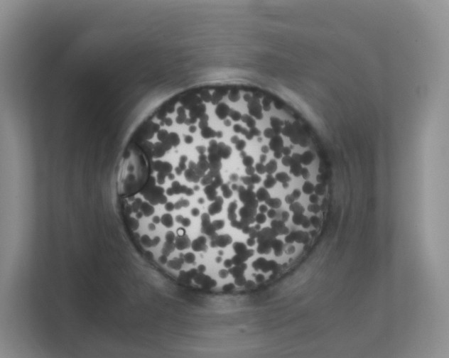 X0000111371277200907311026