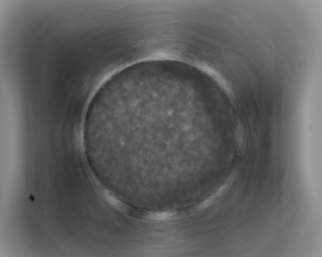 X0000111371278200907311026