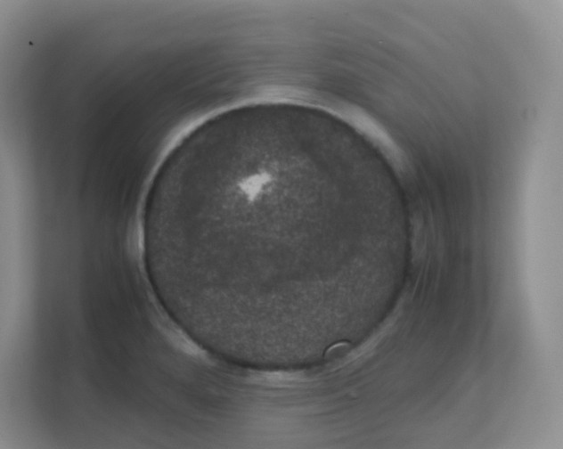 X0000111371280200907311026